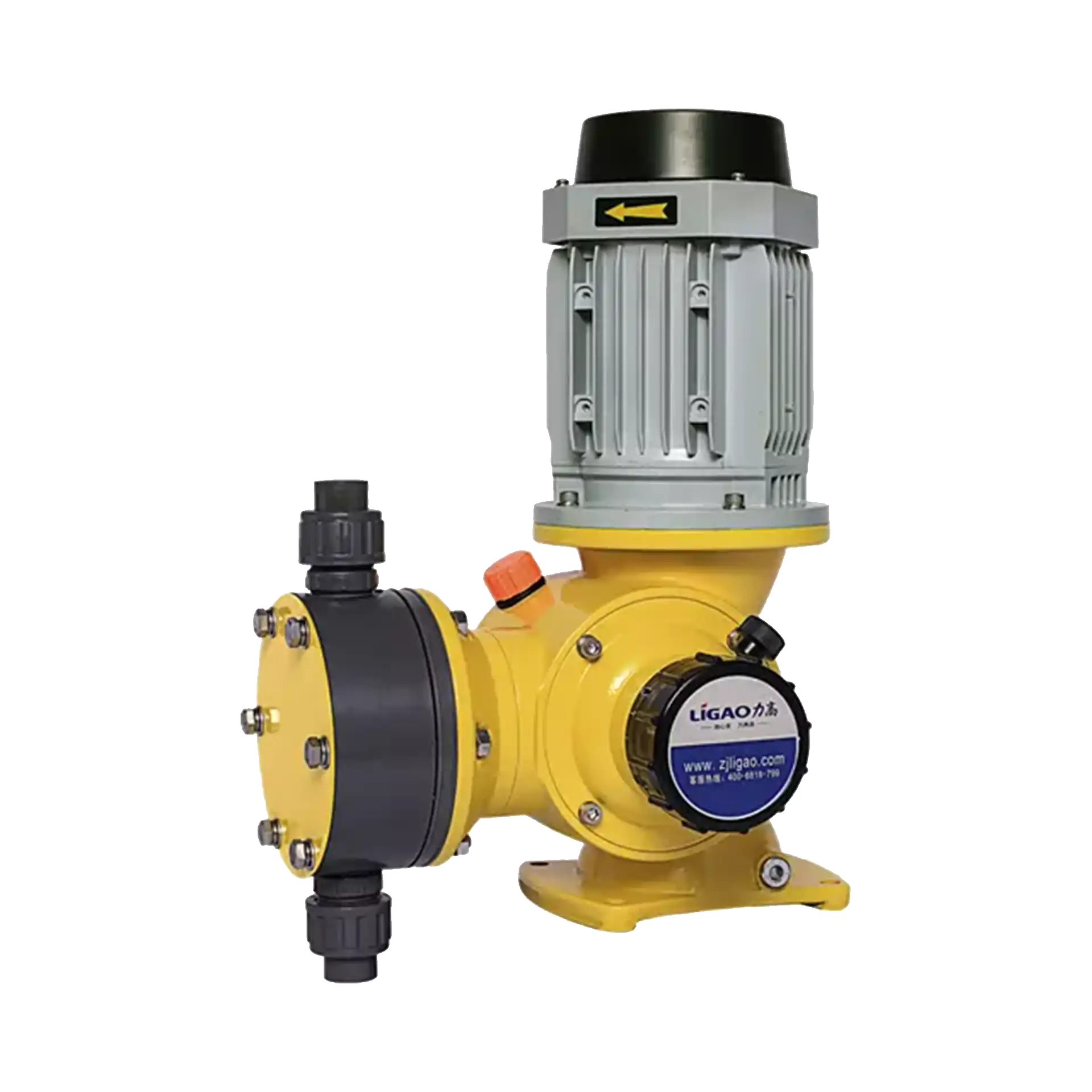 Metering Pump